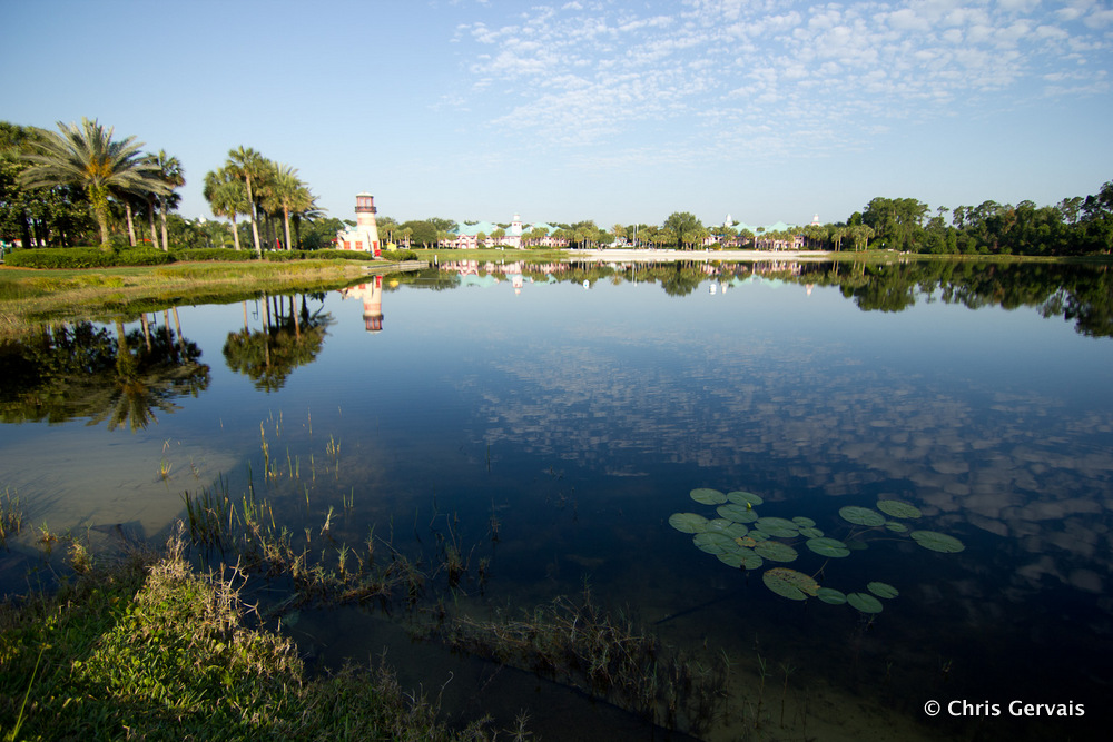 Caribbean Beach Resort Marina Across Lake